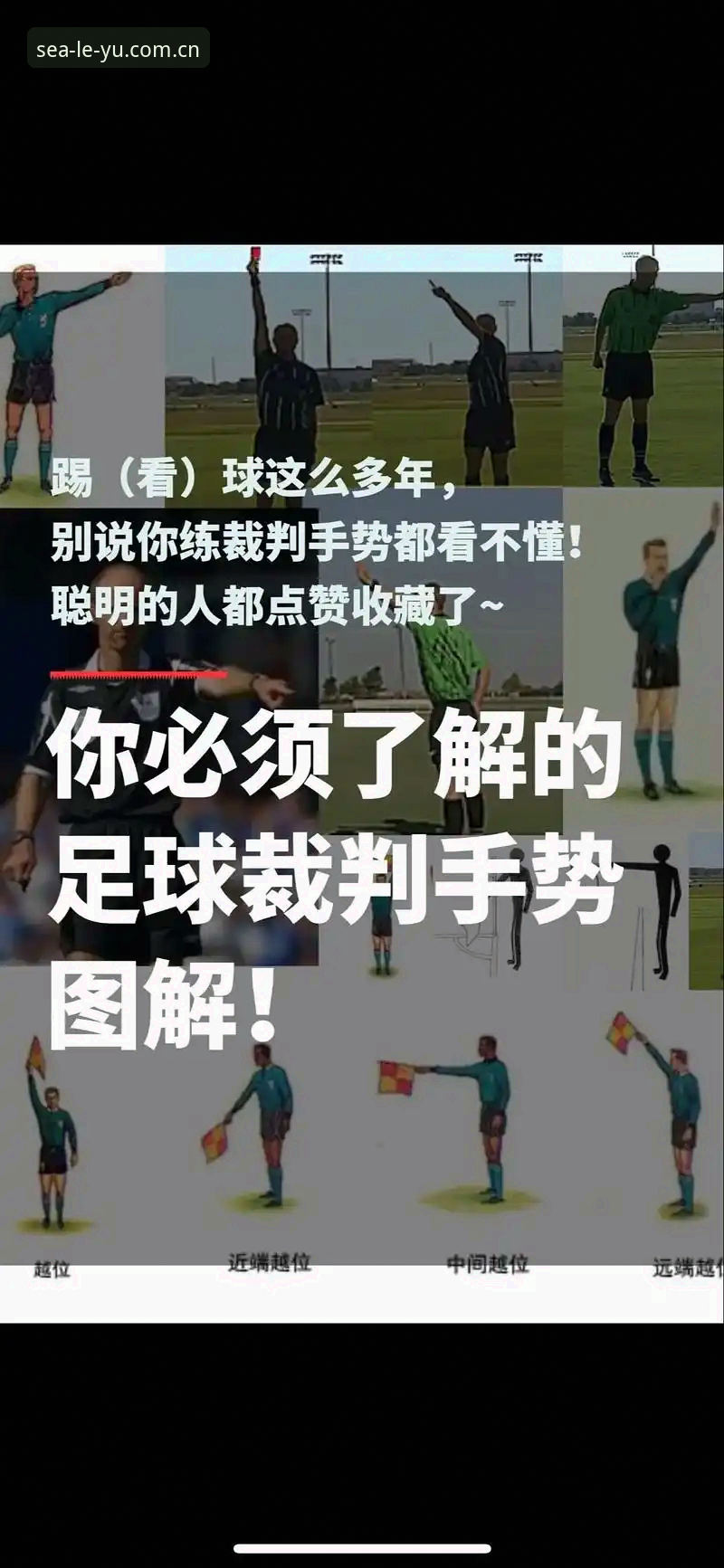 乐鱼体育理解裁判执裁使用教程